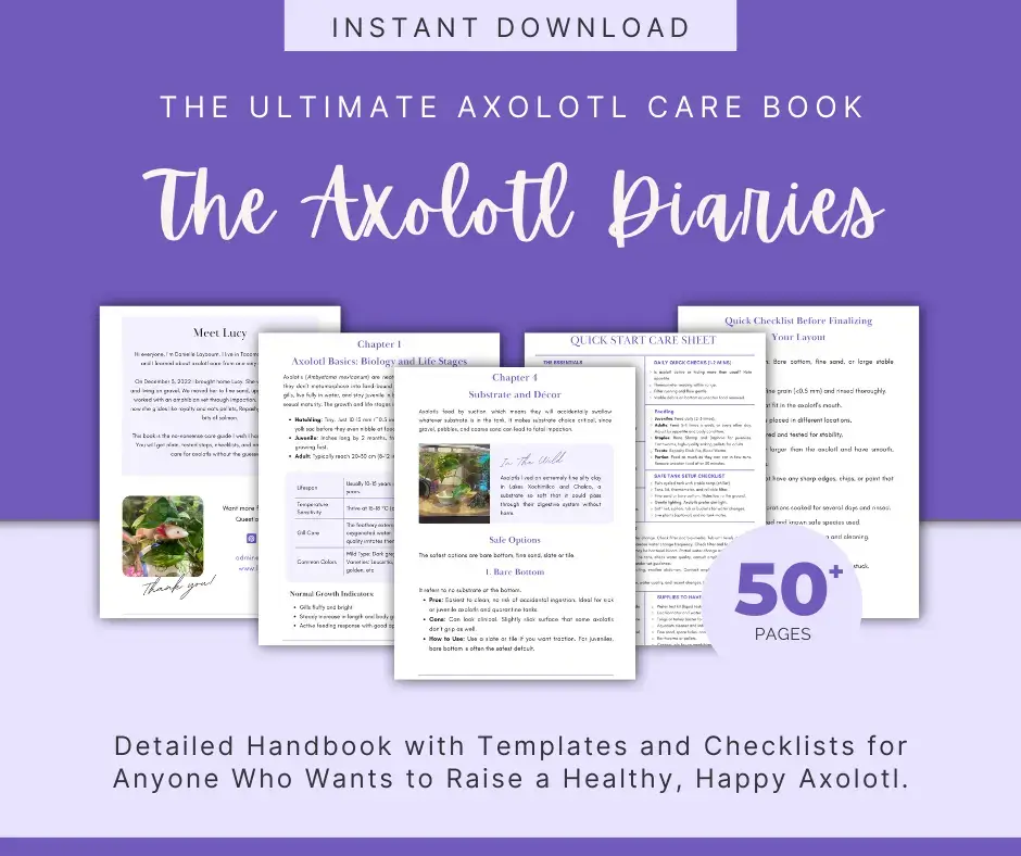 axolotl book care