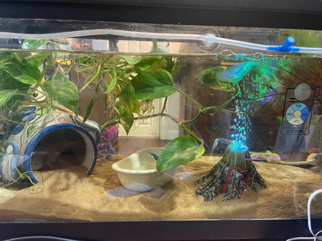 Sand in Lucy Tank