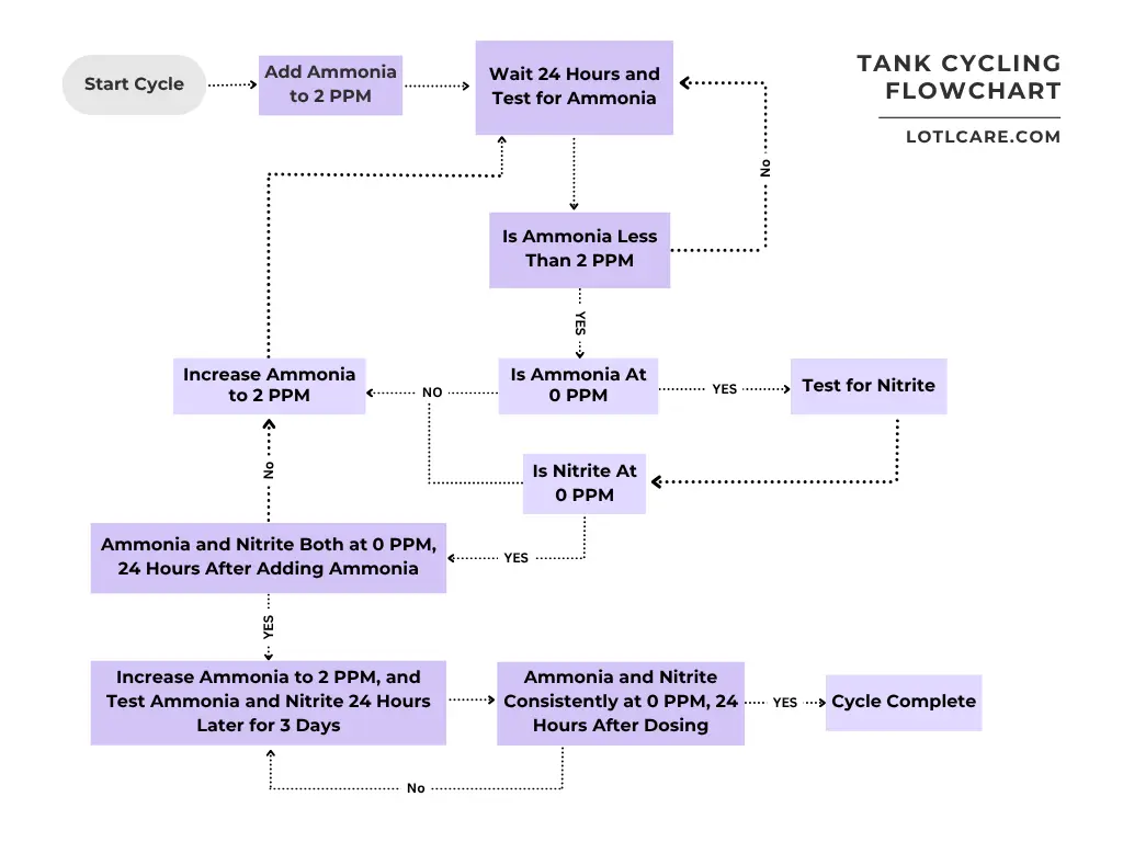 tank cycling flow chart