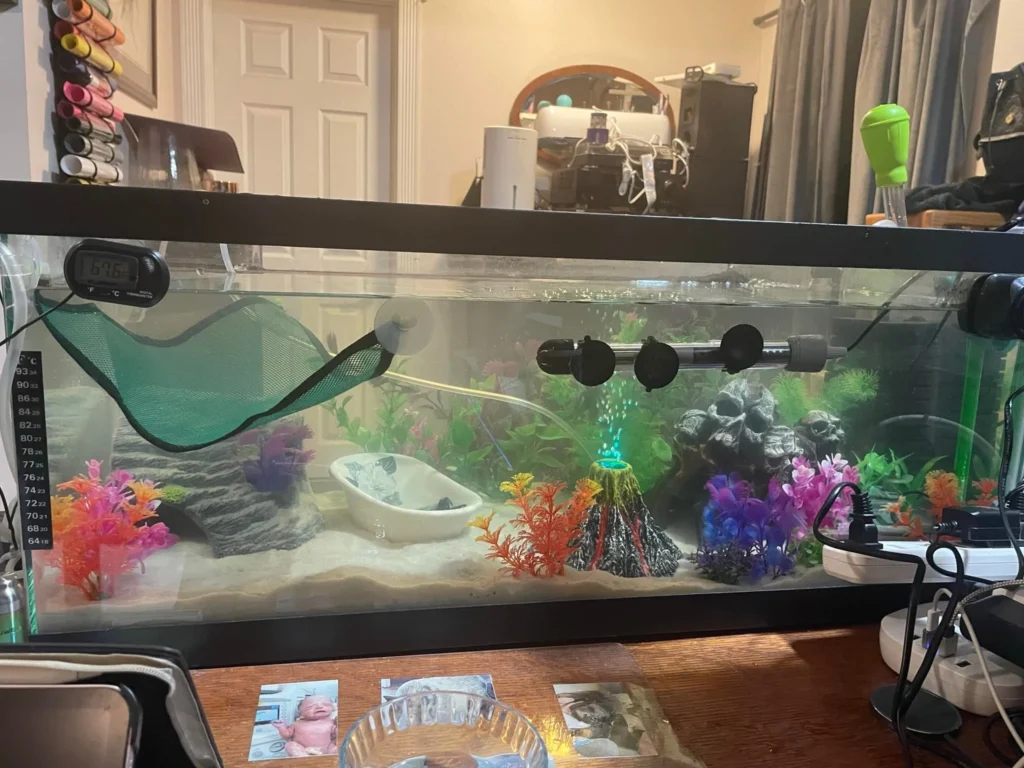 Tank Cycling In Progress
