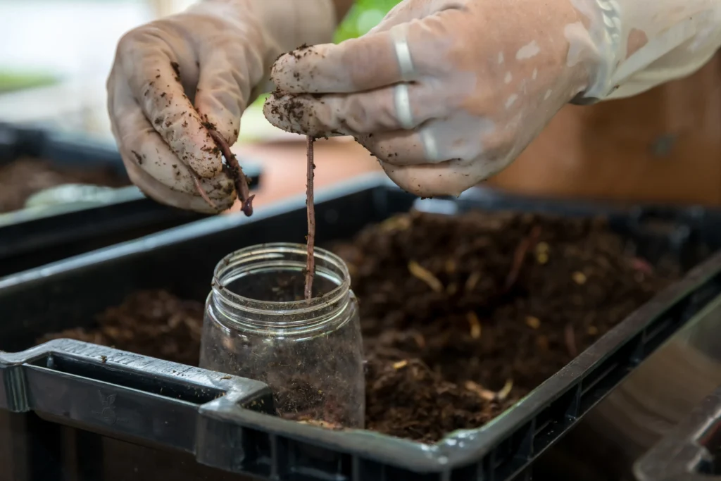 earthworms on hand