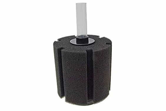 filter-sponge
